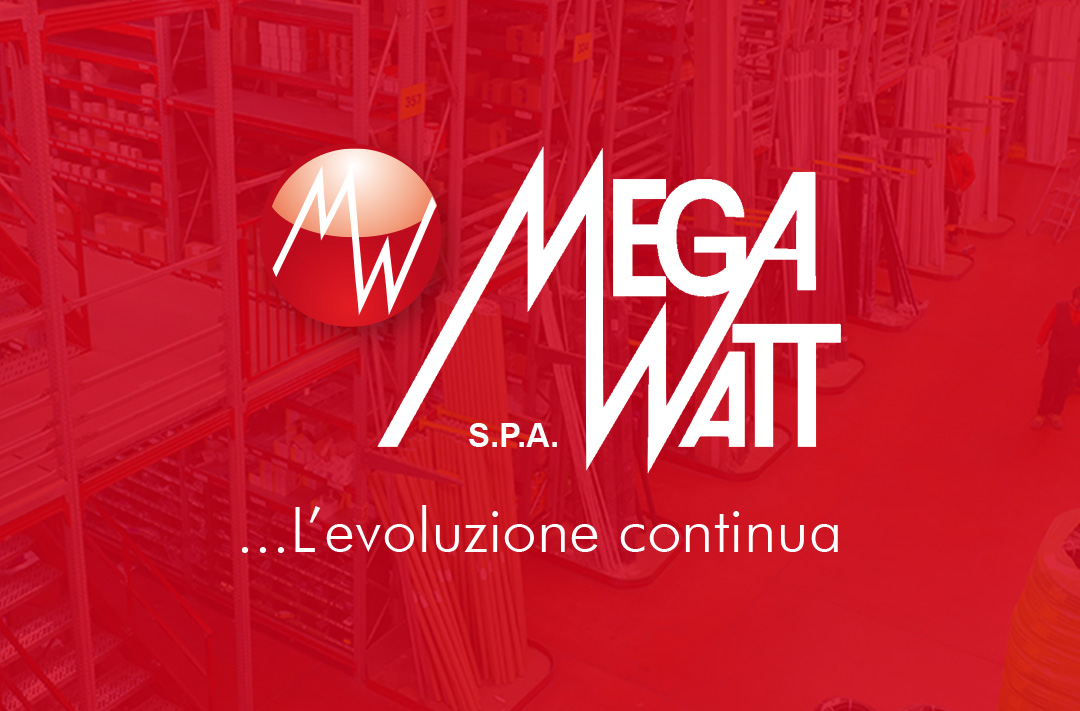 +220% Traffico Organico SEO